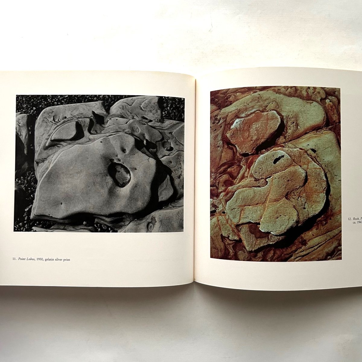 Edward Weston Color Photography / Edward Weston