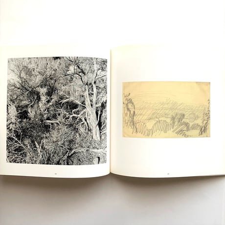 Photographs & Drawings  / Lee Friedlander