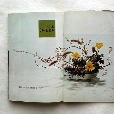 龍生派の自由花　素材を新しい目でとらえる / 吉村華泉