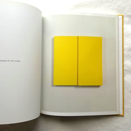 Ellsworth Kelly   Relief Paintings 1954-2001 / Sarah Rich