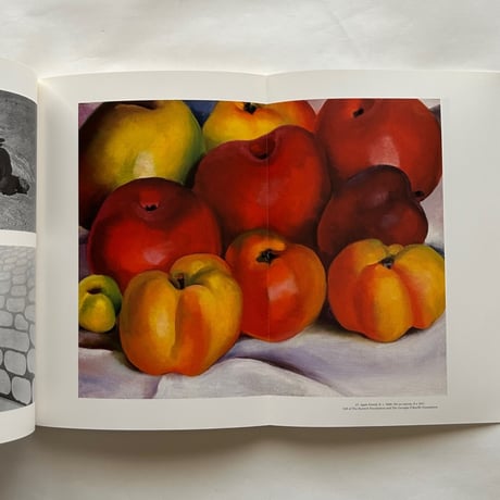 Georgia O'Keeffe Museum