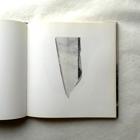 Paintings on Marble / ブライス・マーデン