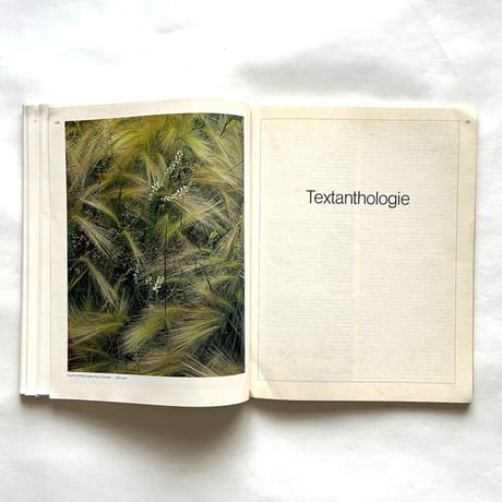 Camera The 50s  Photography and Texts
