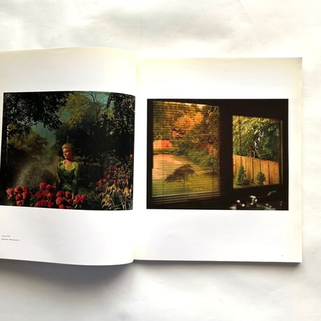 Portfolio Number 40
