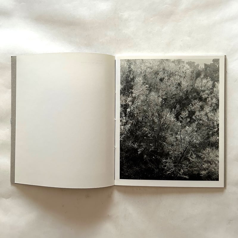 Blanco / Awoiska Van Der Molen | 本まるさんかくしかく