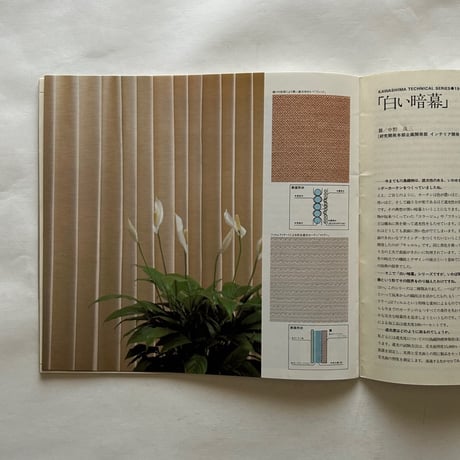 KAWASHIMA NO.19 / 特集：失われた豊穣の海