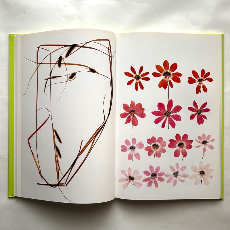 Flora / Nick Knight | 本まるさんかくしかく