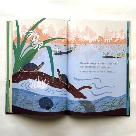Over and Under the Wetland / Christopher Silas Neal, Kate Messner