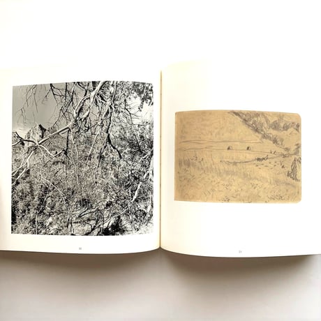 Photographs & Drawings  / Lee Friedlander