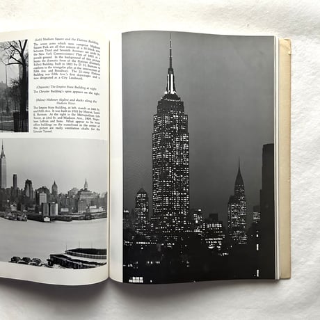 New York City A Photographic Portrait / Victor Laredo