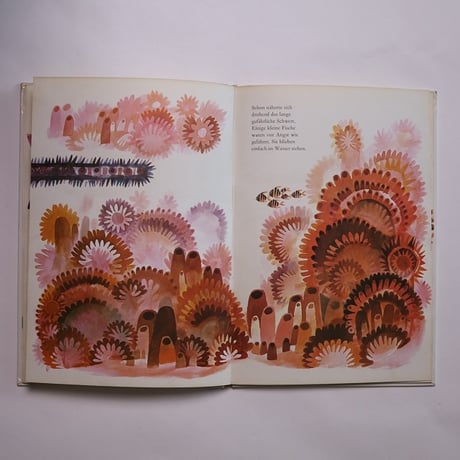 Der Zauberfisch / Štěpán Zavřel