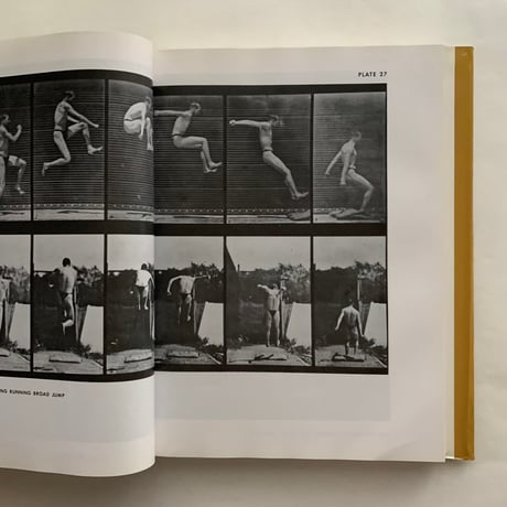 The Human Figure in Motion   / Eadweard Muybridge