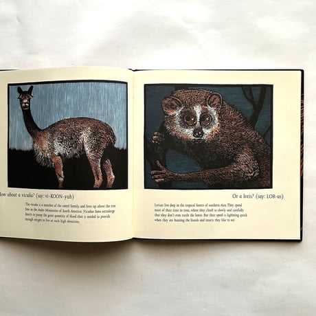 Ever Heard of an Aardwolf?/ Madeline Moser