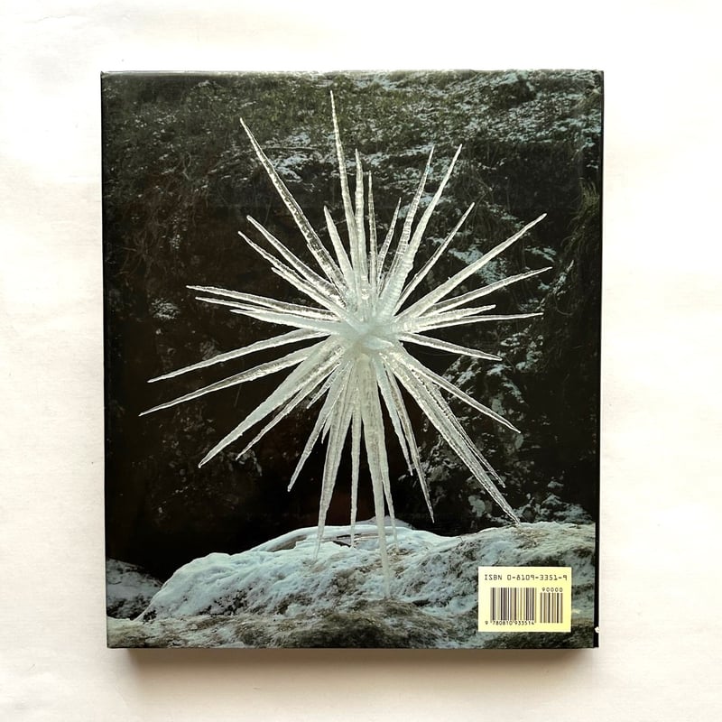 A Collaboration with Nature | 本まるさんかくしかく