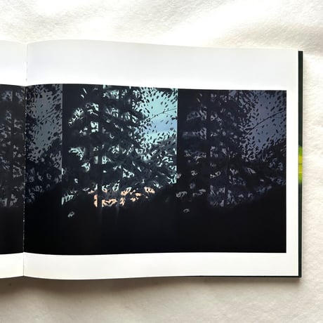 Alex Katz   This Is Now / Michael Rooks, Margaret Graham