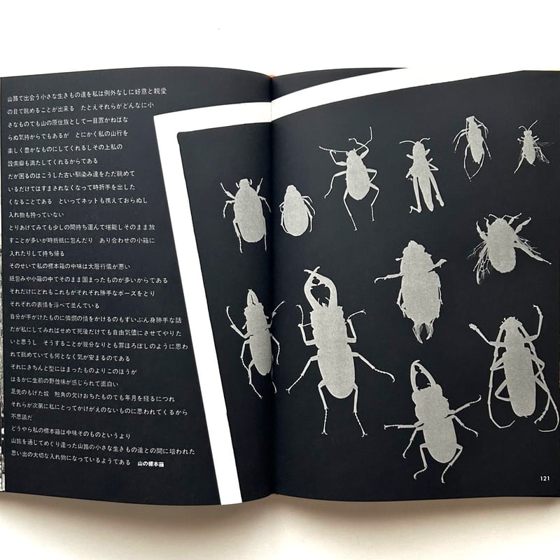 山の意匠 田淵行男写真集 | 本まるさんかくしかく