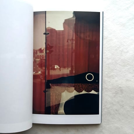 Saul Leiter (Photofile) / Max Kozlof