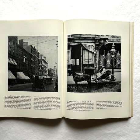 Nineteenth-Century New York in Rare Photographic Views / Frederick S. Lightfoot