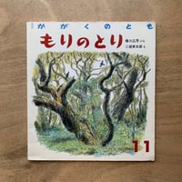 もりのとり / かがくのとも　224号