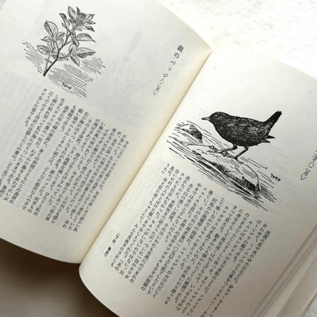自然手帖 / 串田孫一 、尾崎喜八、太田黒克彦 他