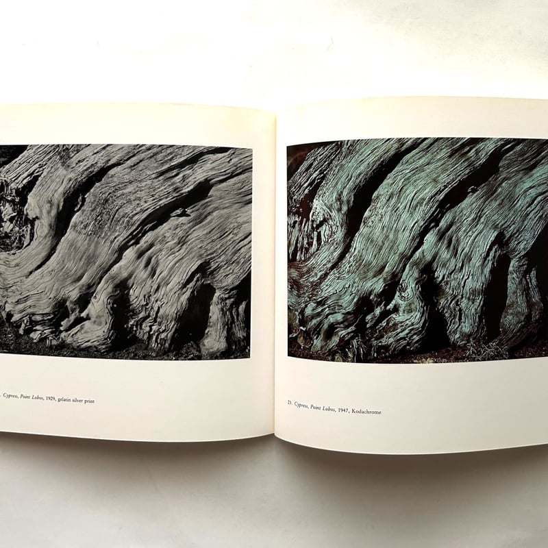 Edward Weston Color Photography / Edward Weston