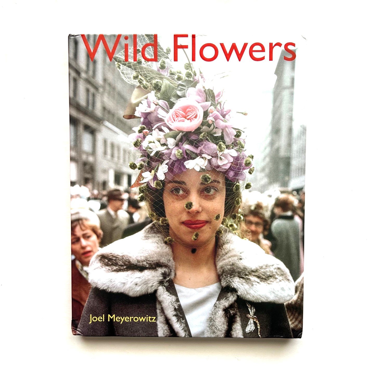 アート・デザイン・音楽 limited500 Wild Flowers Joel Meyerowitz Wild Flowers / Joel Meyerowitz ジョエル・マイヤウィッツ | 本