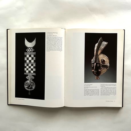 African Art The Barbier-Mueller Collection   /   Enrico Castelli