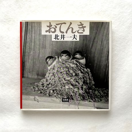 おてんき / 北井一夫