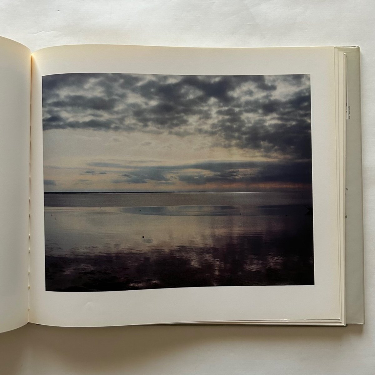 ジョエル・マイヤウィッツ写真集 / Joel Meyerowitz | 本まるさん