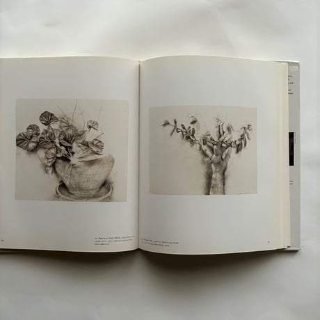 Jim Dine Flowers and Plants / ジム・ディーン