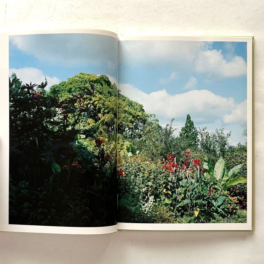 In Our Nature Takashi Homma (ホンマタカシ) – SUPER LABO