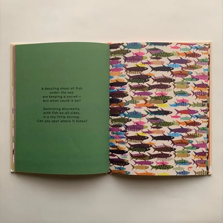 The Odd One Out  / Britta Teckentrup