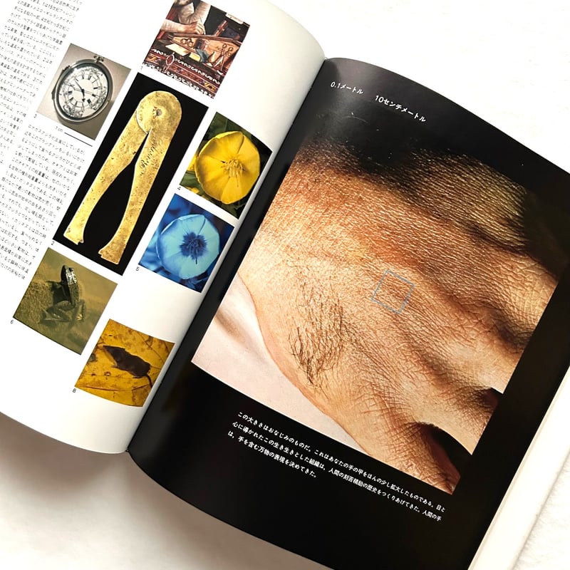 パワーズ オブ テン | 本まるさんかくしかく