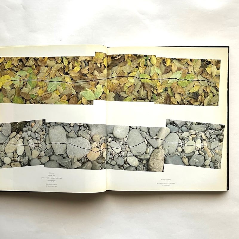 アート・デザイン・音楽 ANDY GOLDSWORTHY:A Collabo With Nature Amazon | Andy Goldsworthy: A Collaboration with Nature