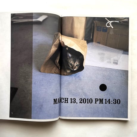 ホンマタカシ ダイアリーズ （Takashi Homma Diaries 2010-2011）