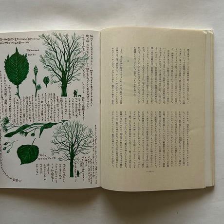 アルプ208号 / 特集　木