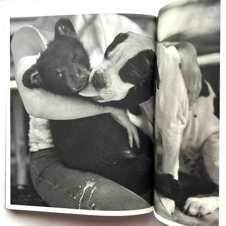 ALL-AMERICAN IV  OTHERWORLDLY / Bruce Weber