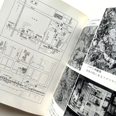都市の化石地図 / カラーブックス587