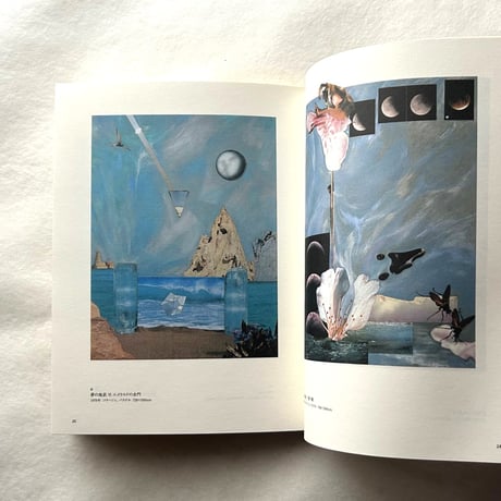 野中ユリ 画文集 / 神奈川県立近代美術館