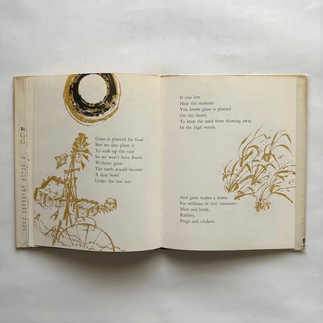 Guess what grasses do / Barbara Rinkoff