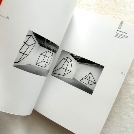 Sol Lewit / Ann Hindry