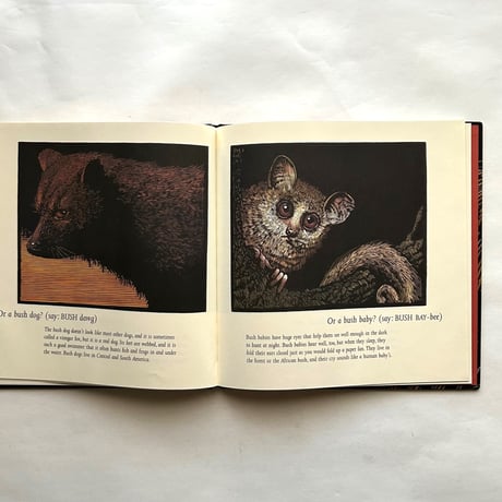 Ever Heard of an Aardwolf?/ Madeline Moser