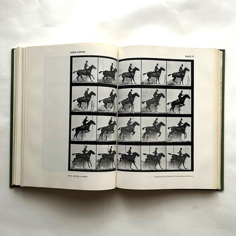 Animals in Motion / Eadweard Muybridge