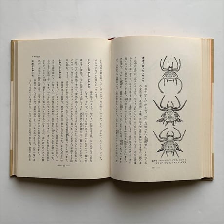 クモの生活   / 萱嶋泉