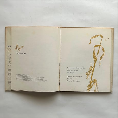 Guess what grasses do / Barbara Rinkoff