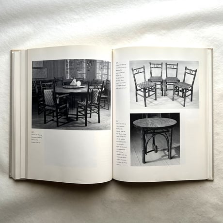 Adirondack Furniture and the Rustic Tradition. / Craig Gilborn