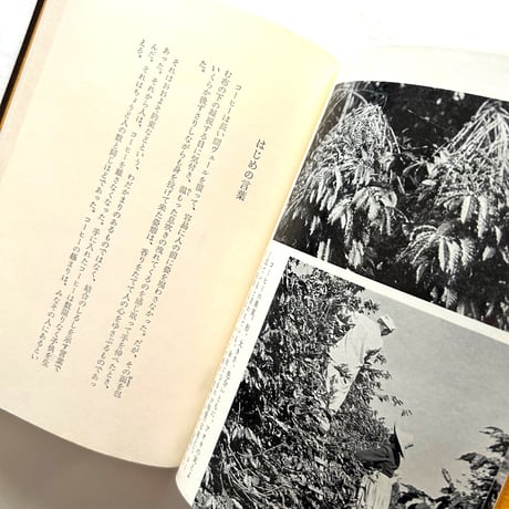 珈琲の書 / 井上誠
