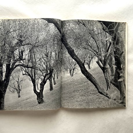 PROVENCE NOIRE / Gilles Ebrmann