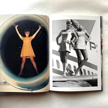 Stewardess: Come Fly with Me! /   Elissa Stein