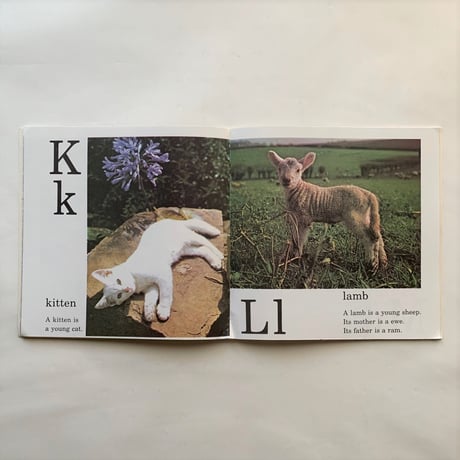 Farm Alphabet Book / Jane Miller　古書